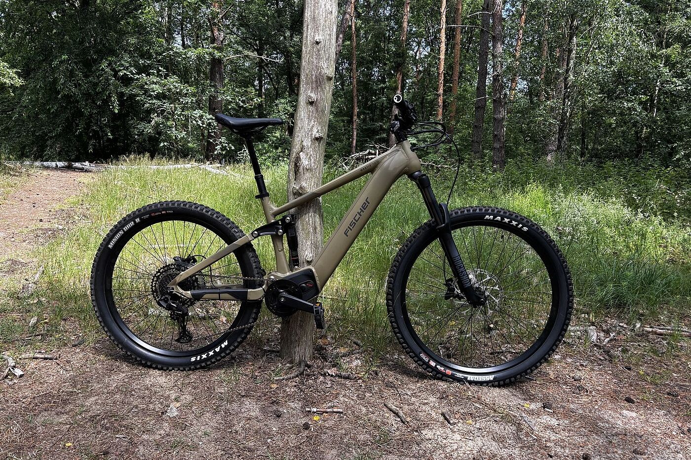 Ein Mountainbike lehnt an einem Holzpfahl im Wald. 